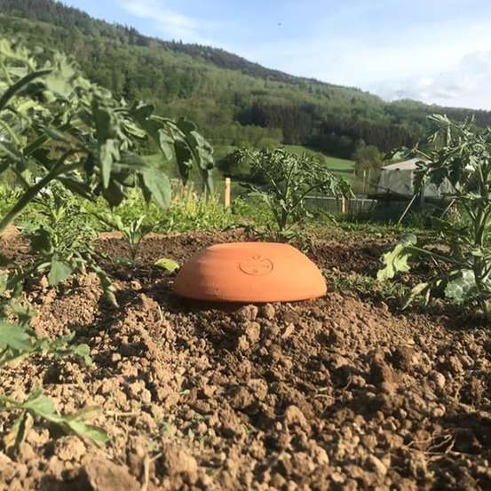 Céramique d'irrigation Ollas Jamet Origin n°3 - 3L