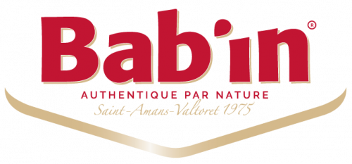 Logo BAB'IN