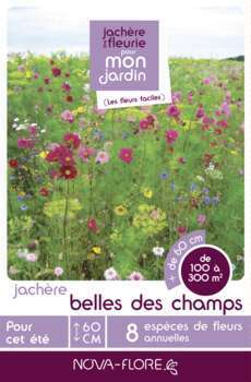 Mélange fleuri Belles des Champs:boite 500g