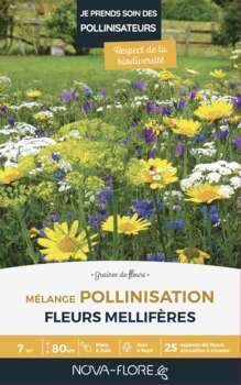 Graines pour prairie : pollinisation, 7m²