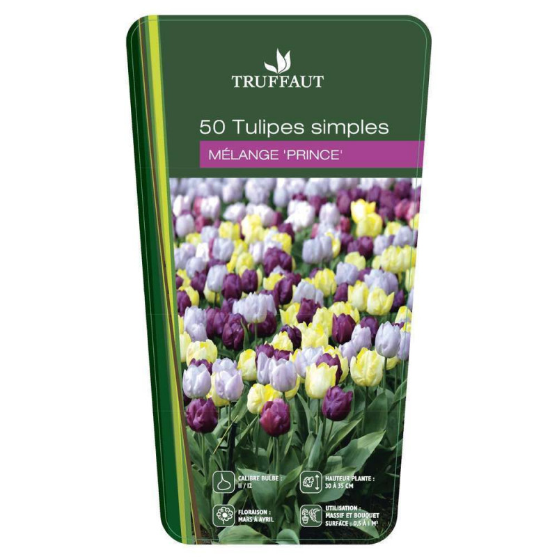 Filet tulipe simple princeX50 11/12