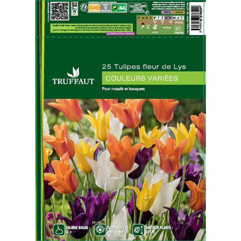 Tulipes fleurs de lys mix x25 : calibre 12+