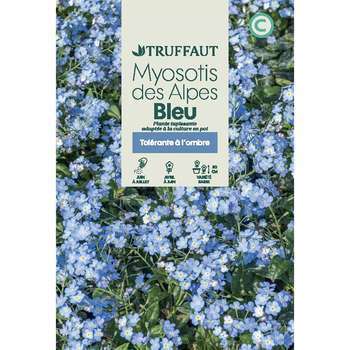 Myosotis des Alpes bleu : en sachet