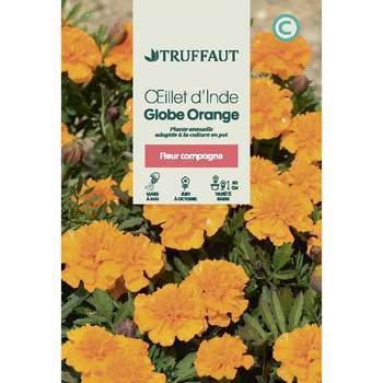 Oeillet d'inde globe orange 1 g