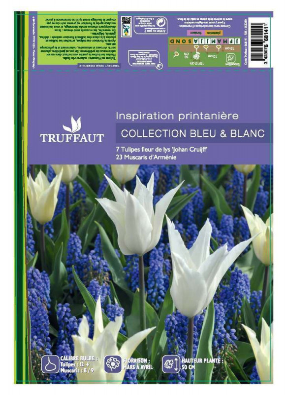 Assortiment tulipe muscari x35 : blanc