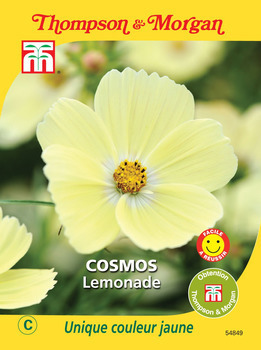 Cosmos Lemonade graines en sachet