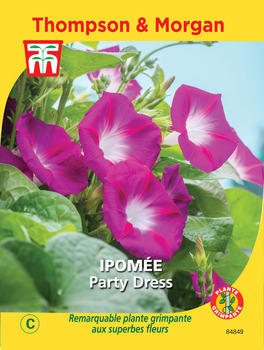 Ipomée Party Dress graines en sachet