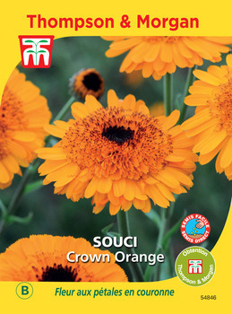 Souci Crown Orange graines en sachet