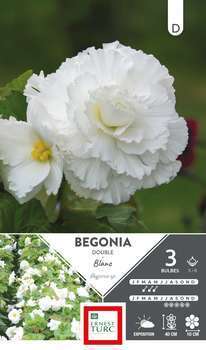 Bulbes bégonia double blanc 5/6 x3