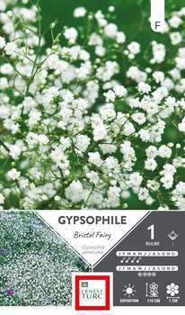 Bulbe gypsophile Bristol Fairy X1