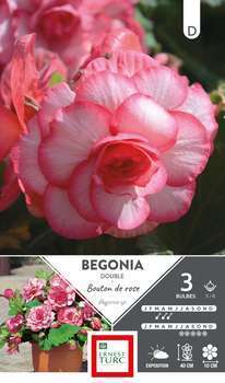 Bulbes bégonia double bouton rose 5/6 x3