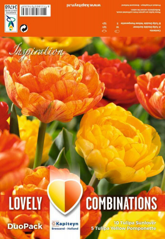 Tulipe duopack double jaune et orange X15