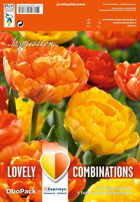 Bulbes de tulipes doubles jaunes et orange - x15