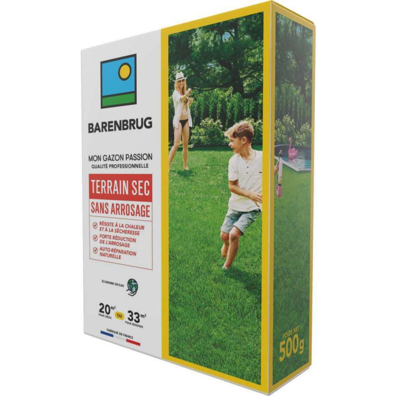 GazonTerrain sec sans arrosage - boite de 500g