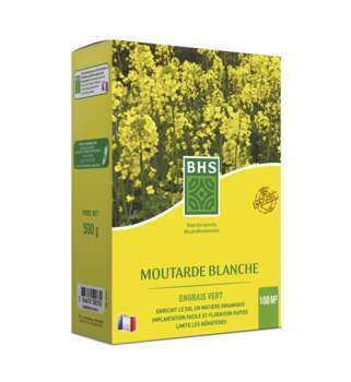 Semence D'Engrais Moutarde 500 g