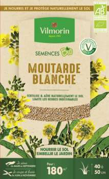 Moutarde Blanche Bio 375 G