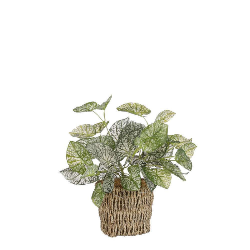 Begonia artificiel - H.33 x D.12 cm