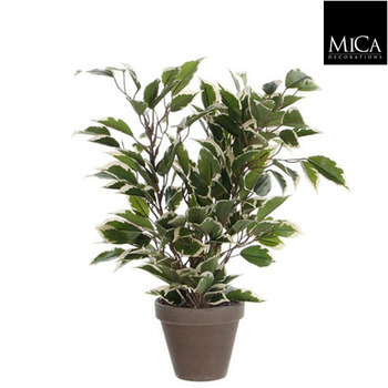 Pot Ficus Natasja artificiel blanc Ø11 cm