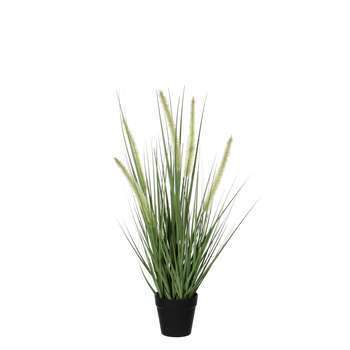 Pot artificiel herbe dogtail Ø10 cm