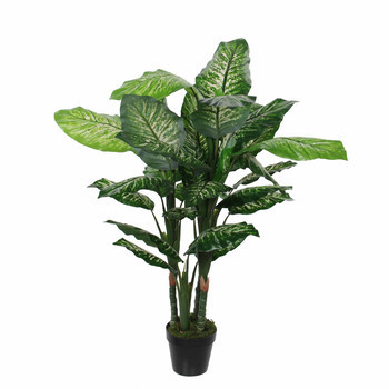 Dieffenbachia artificiel, en pot H120cm