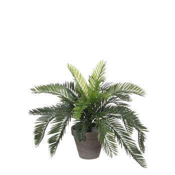 Plante artificielle : pot cycas Ø13,5 cm