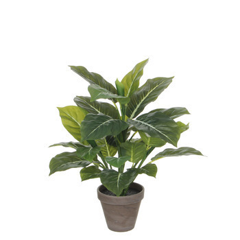 Plante artificielle pot Evergreen D13.5 H49