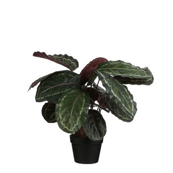 Pot calathéa roseopict artificiel H.70 cm