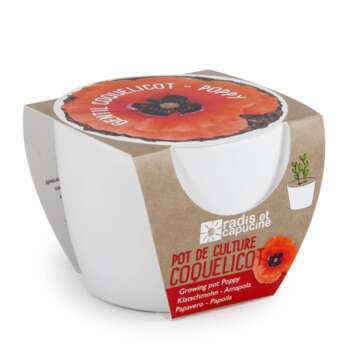 Pot céramique 8 cm coquelicot