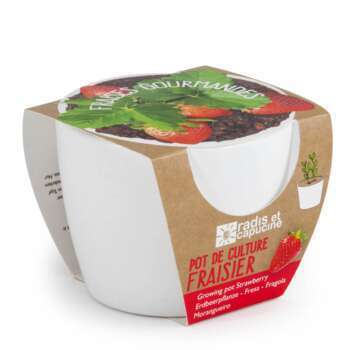 Pot céramique 8 cm Fraisier