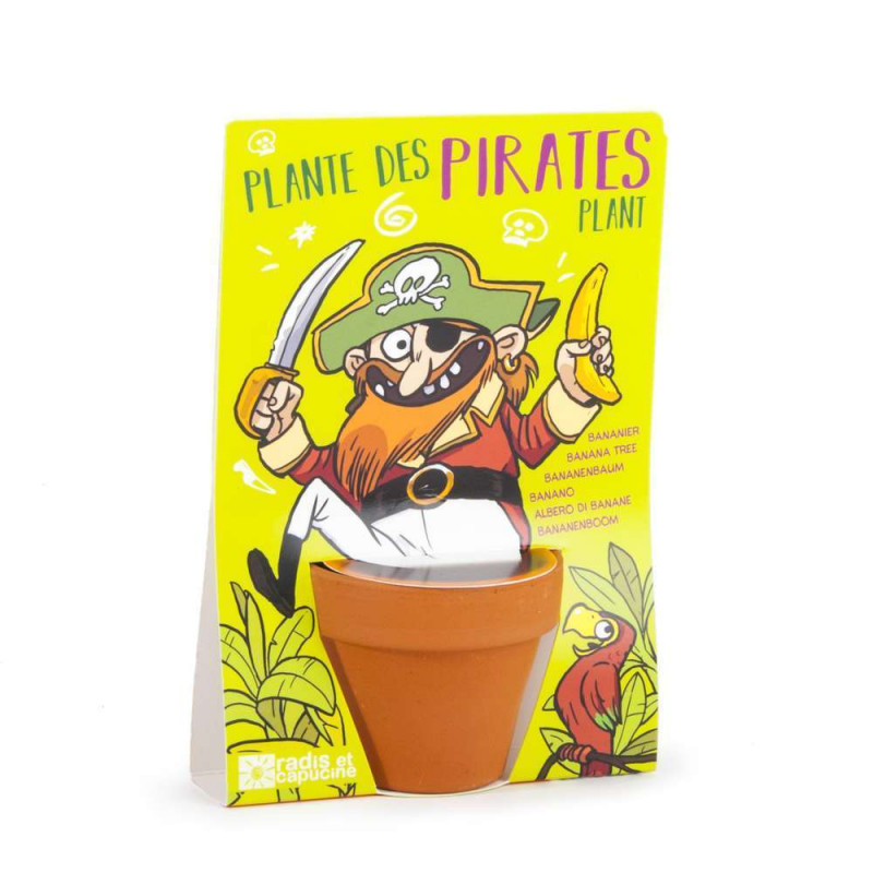 Carte n pirate bananier, graines à germer