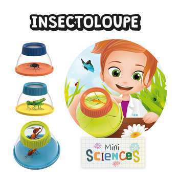 insectoloupe