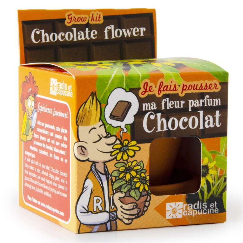 Pot de culture équipé pour fleur chocolat