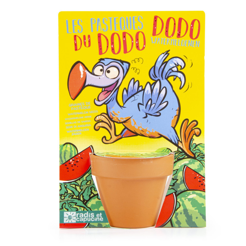 Le dodo et ses graines de pastèque à semer