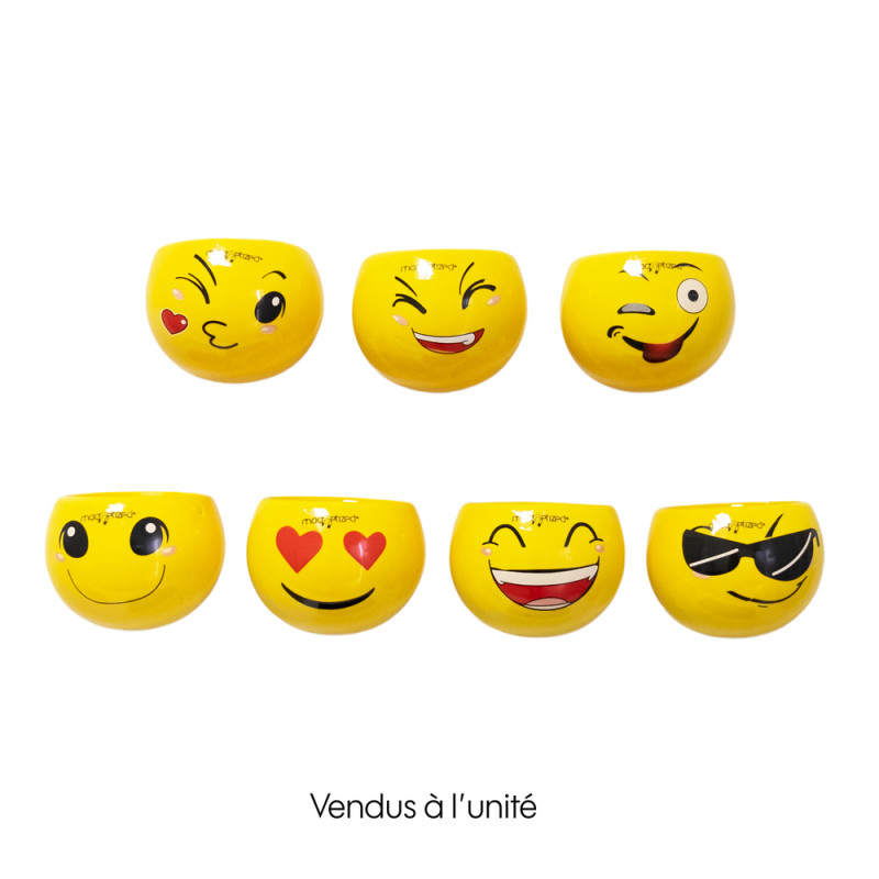 Cache-pot émoji magnétique, plusieurs modèles disp