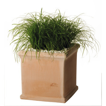 Pot carré lisse en terre cuite L. 12 x l. 12cm