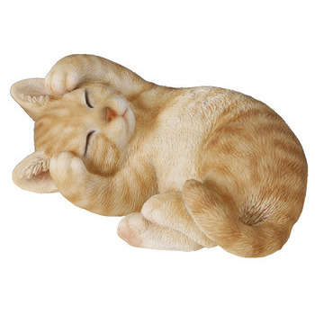 Chaton roux endormi : L.17cm
