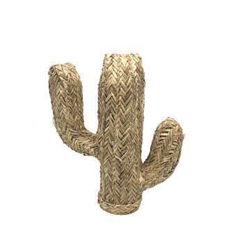 Cactus fibre naturelle : h.30cm