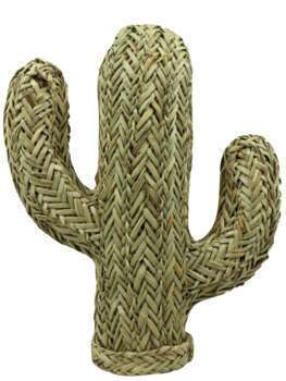 Cactus fibre naturelle : h.40cm
