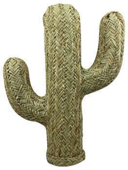 Cactus fibre naturelle : h.60cm