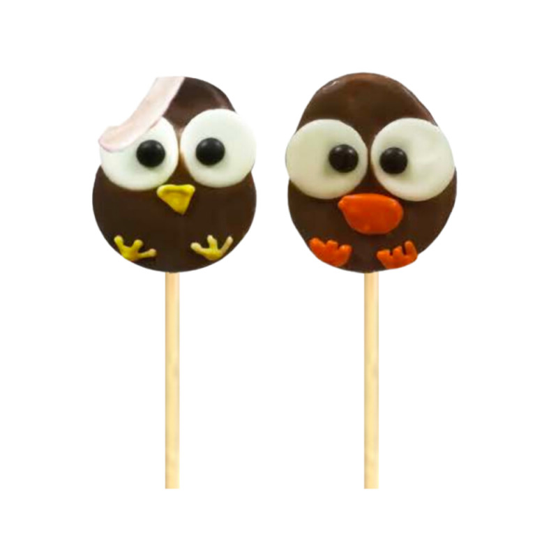 Brochette guimauve/chocolat Charlotte la cocotte -