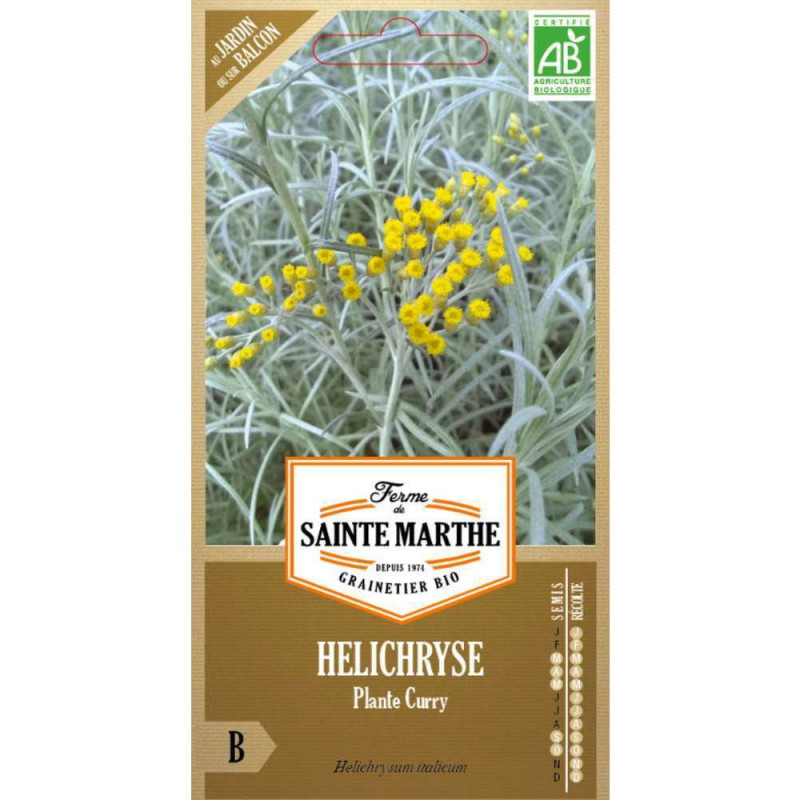 Graines d'Hélichryse