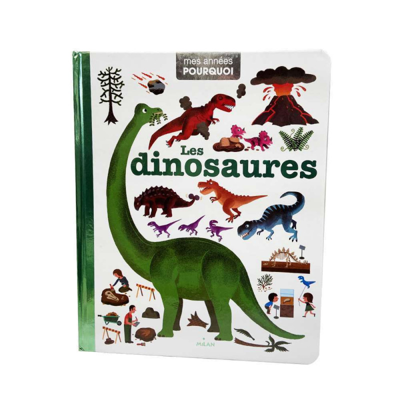 Livre pédagogique Mes années Pourquoi Les dinosaur
