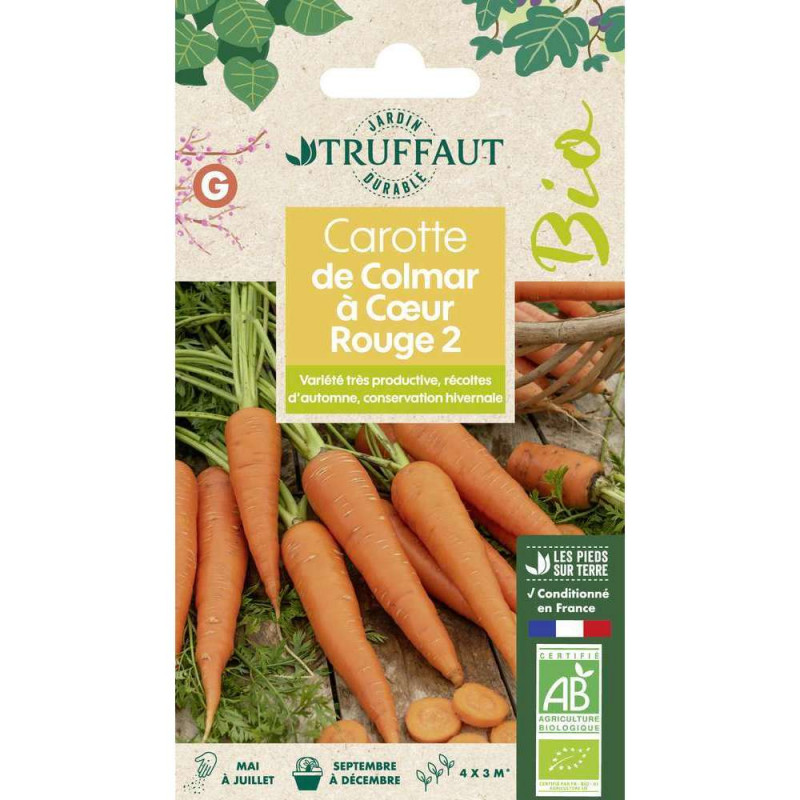 Graines de Carotte de Colmar à Cur Rouge 2 Bio