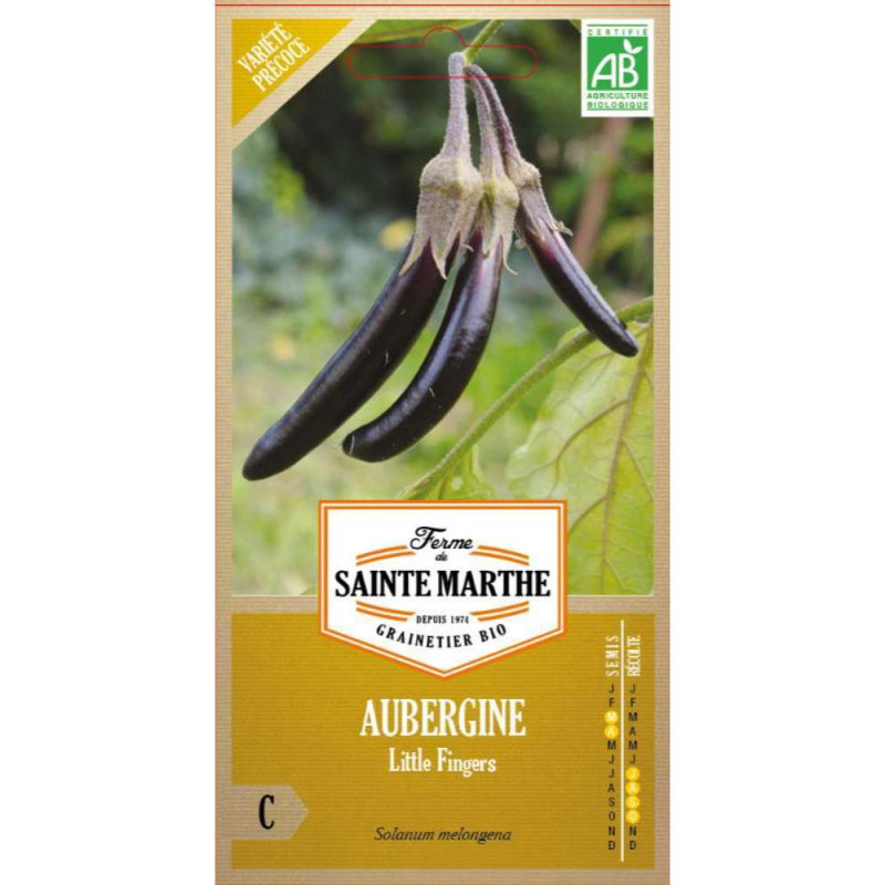 Graines d'Aubergine little Finger