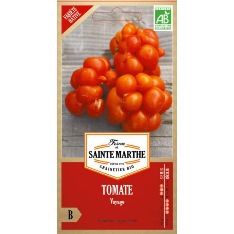 Graines de Tomate Voyage
