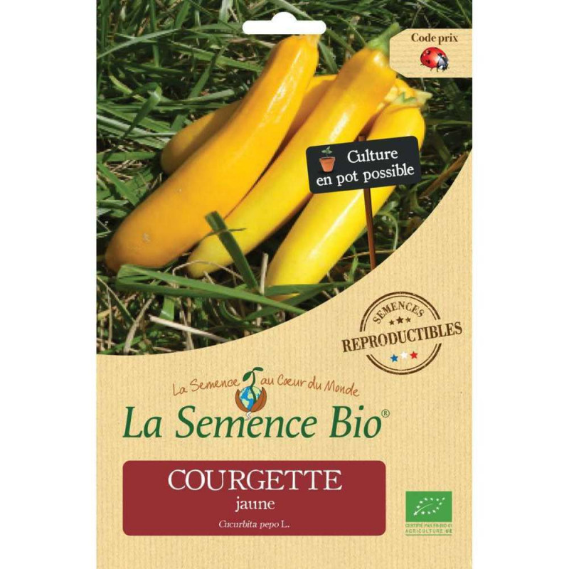 Graines de légumes Courgette jaune Bio