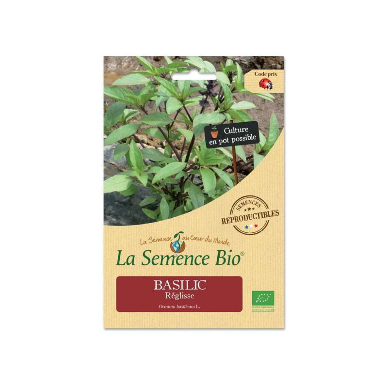 Graines aromatiques de Basilic Réglisse Bio