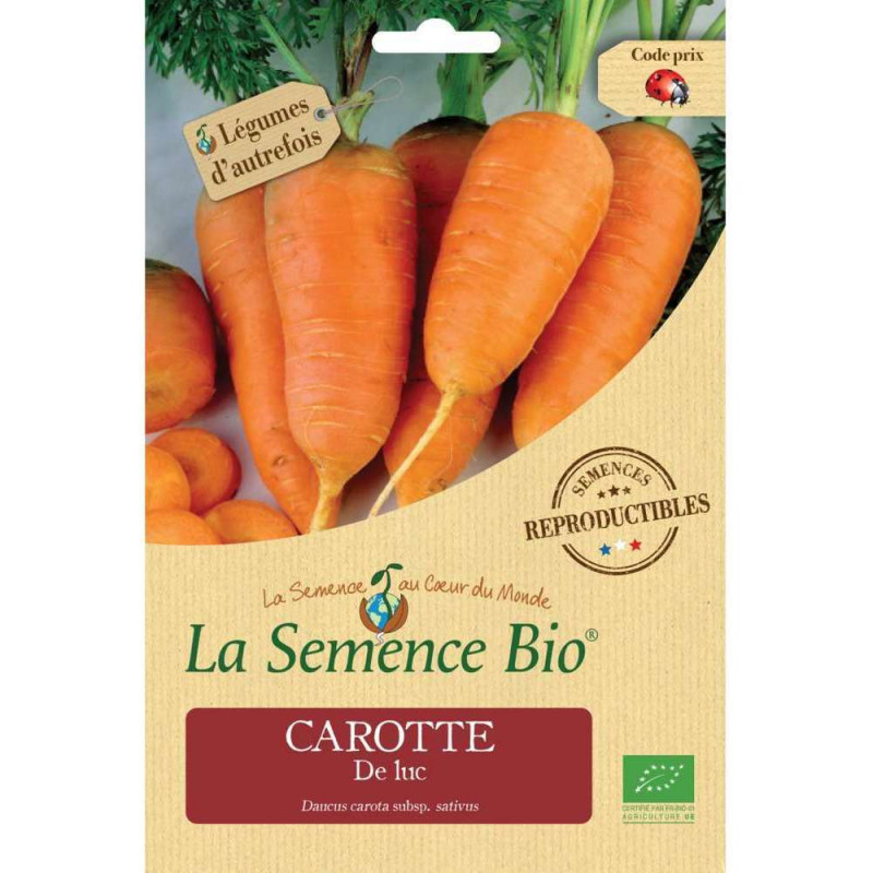 Graines de légumes Carotte de Luc Bio