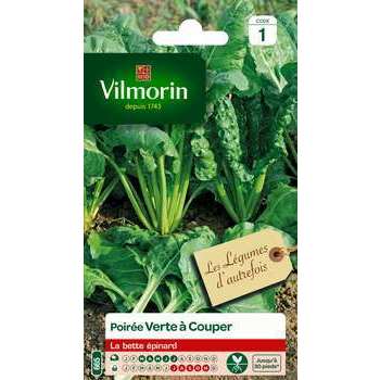 Graines de poirée verte à couper en sachet