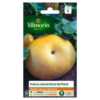 Graines de potiron jaune Gros de Paris en sachet
